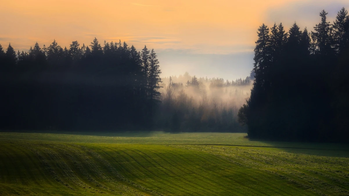 MD2Card:快速生成精美知识卡片的在线Markdown工具