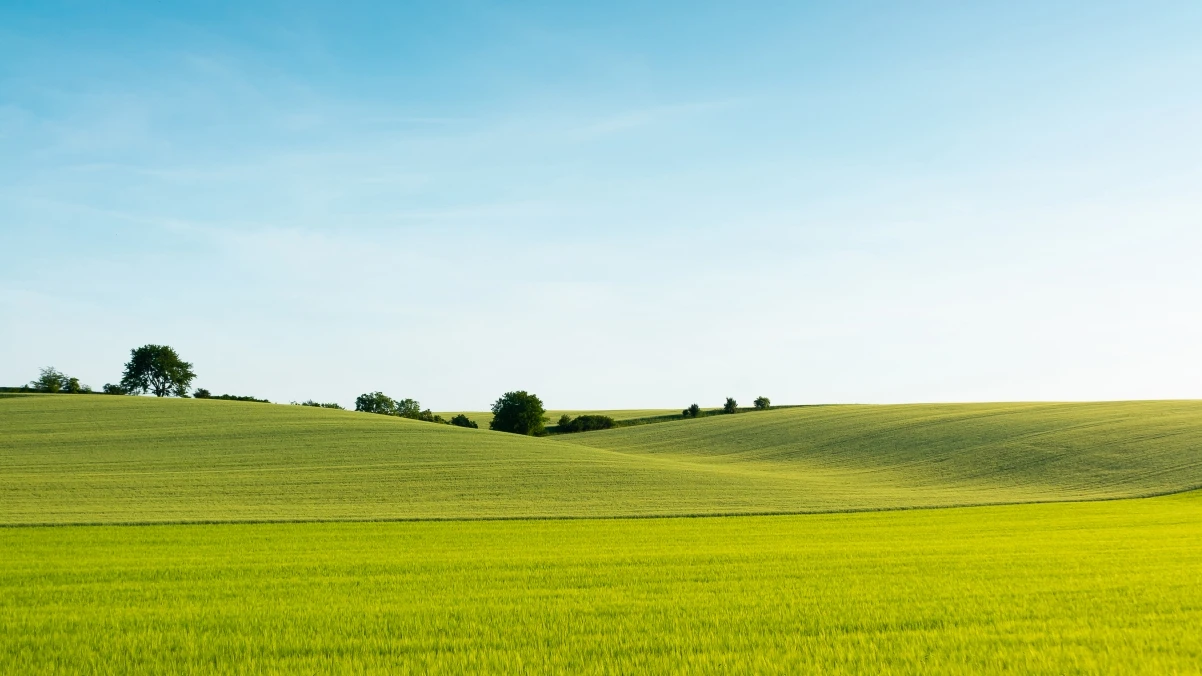 GenColor AI:免费AI智能线稿生成器,照片文字一键生成艺术线条画