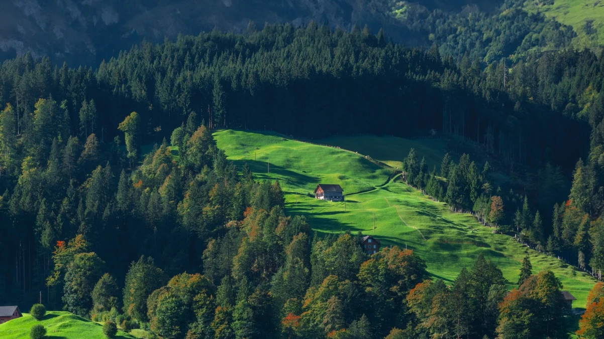 朱雀大模型检测:检查文本与图片是否为AI生成的强力工具!