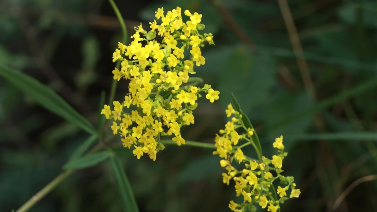 装个机 ZhuangIt:小白也能轻松上手的电脑重装系统图文教程平台!