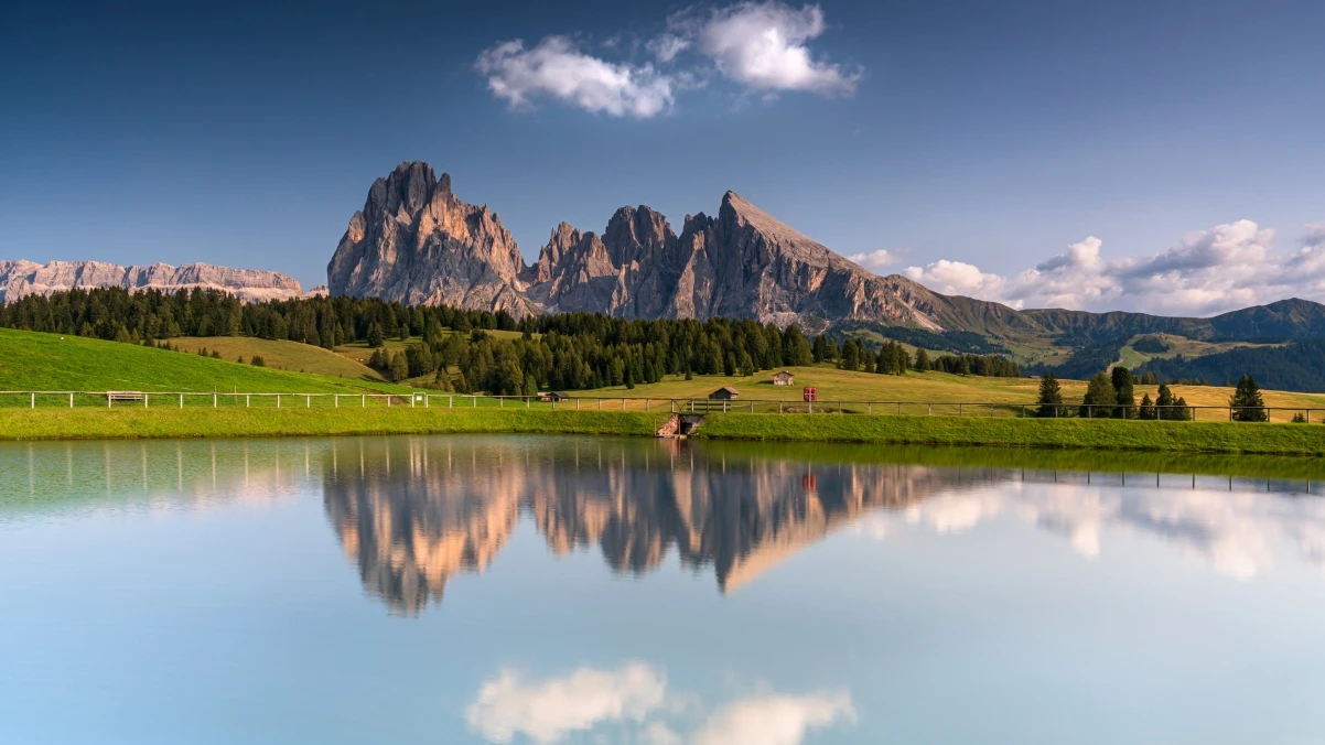 Tweeload：免费Twitter视频在线下载器，支持GIF下载的多平台在线工具