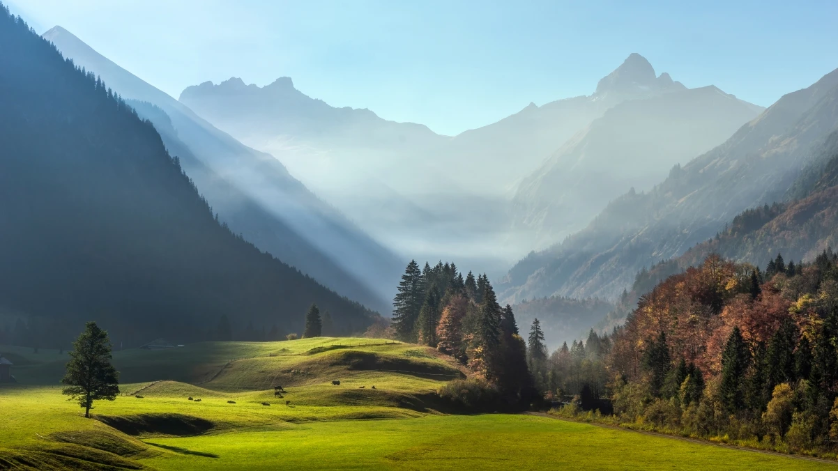 2025年最佳磁力资源网站推荐：探索高质量BT资源集合