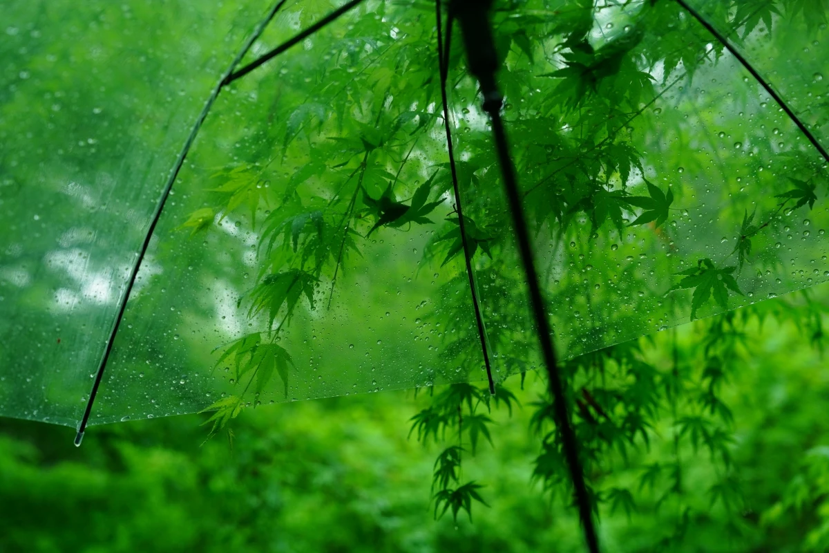 一站式AI日语句子学习与发音解析工具：Japanese Sentence Analyzer