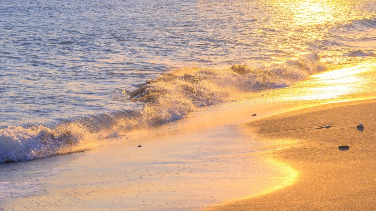 知乎搬运工：免费收录知乎盐选、Live、专栏与电子书内容的搬运站