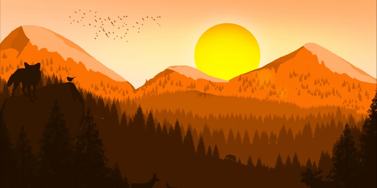 Zemail.me：免费无注册的临时邮箱工具，保护隐私的实用小帮手