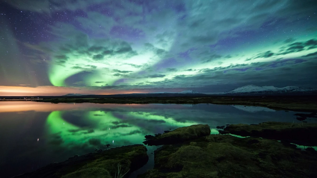 一键下载无水印小红书视频：RedNote Video Downloader 插件介绍