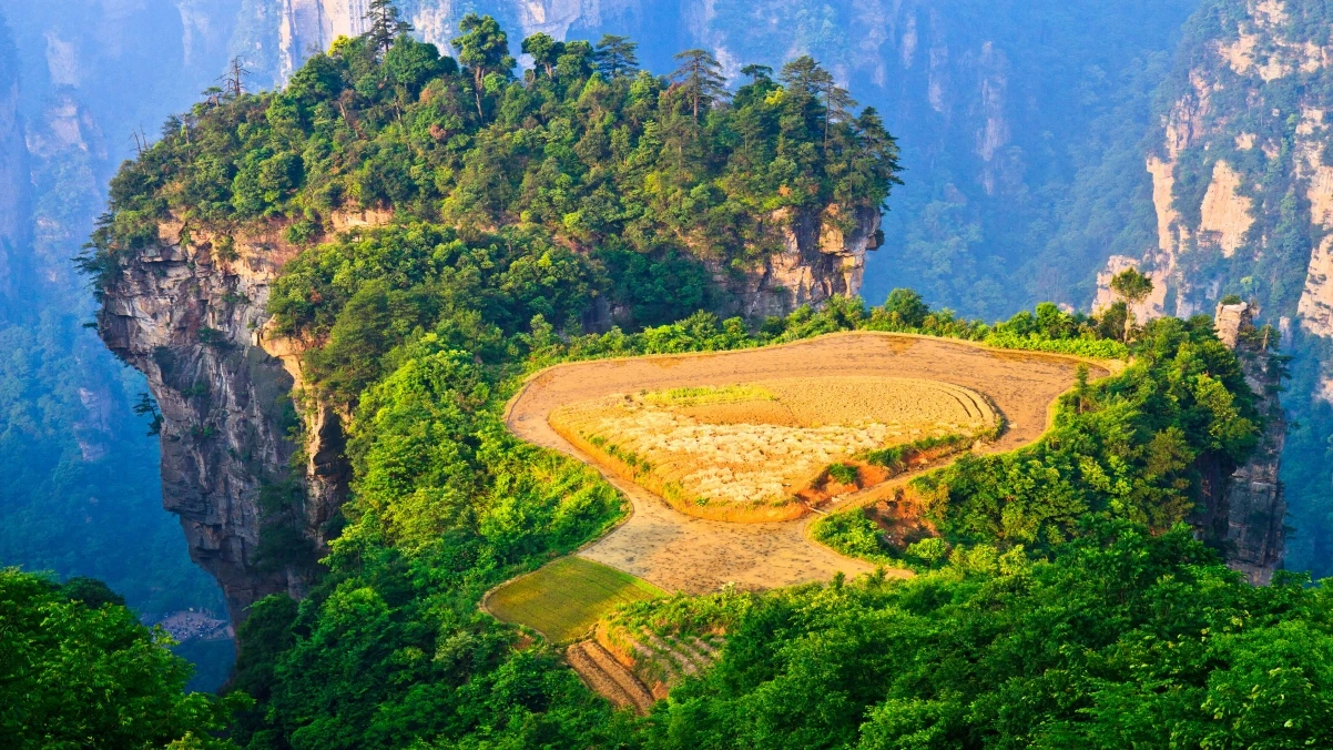 Reading IQ：拥有7000+绘本资源的在线分级阅读图书馆！