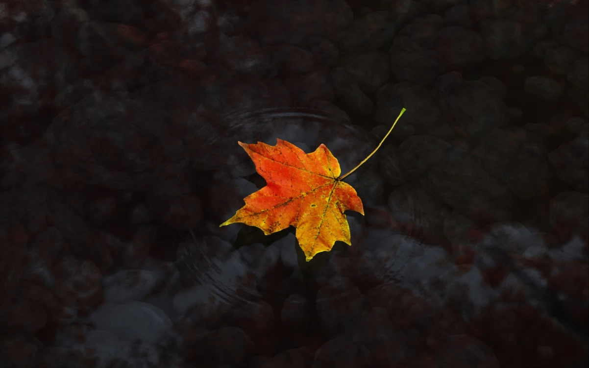 Restore Old Photos.io:免费强大的AI老照片修复工具,重现记忆中的影像