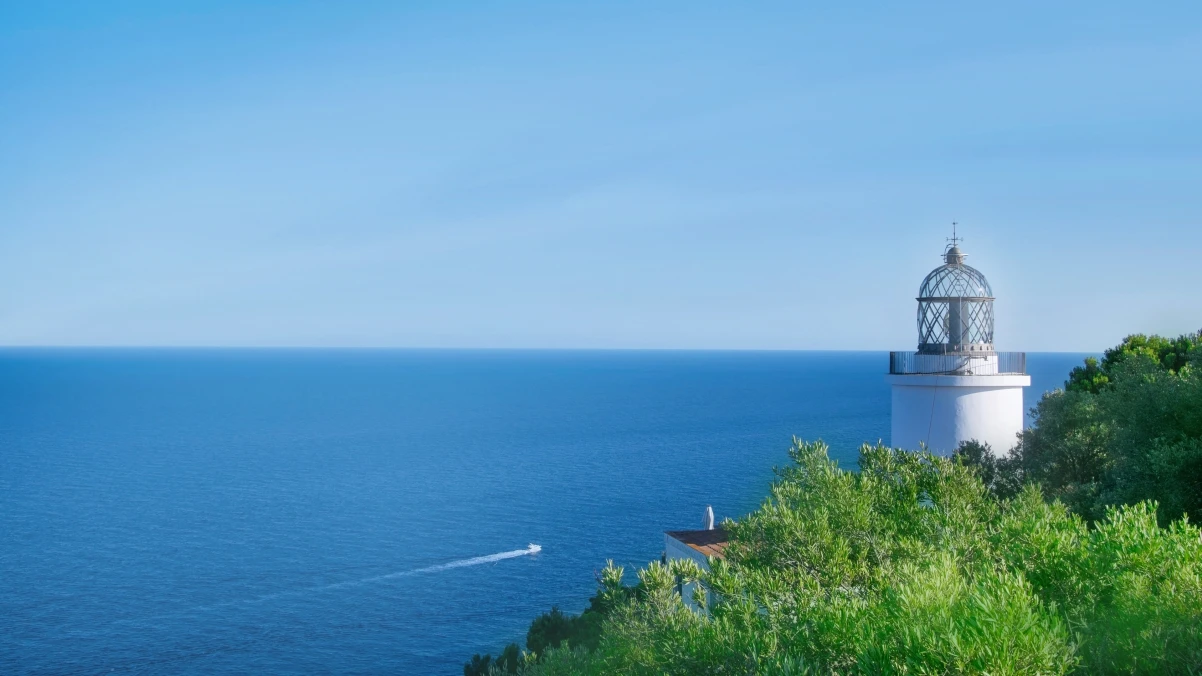 免费美观的开源图标资源库：Boxicons 图标网站介绍