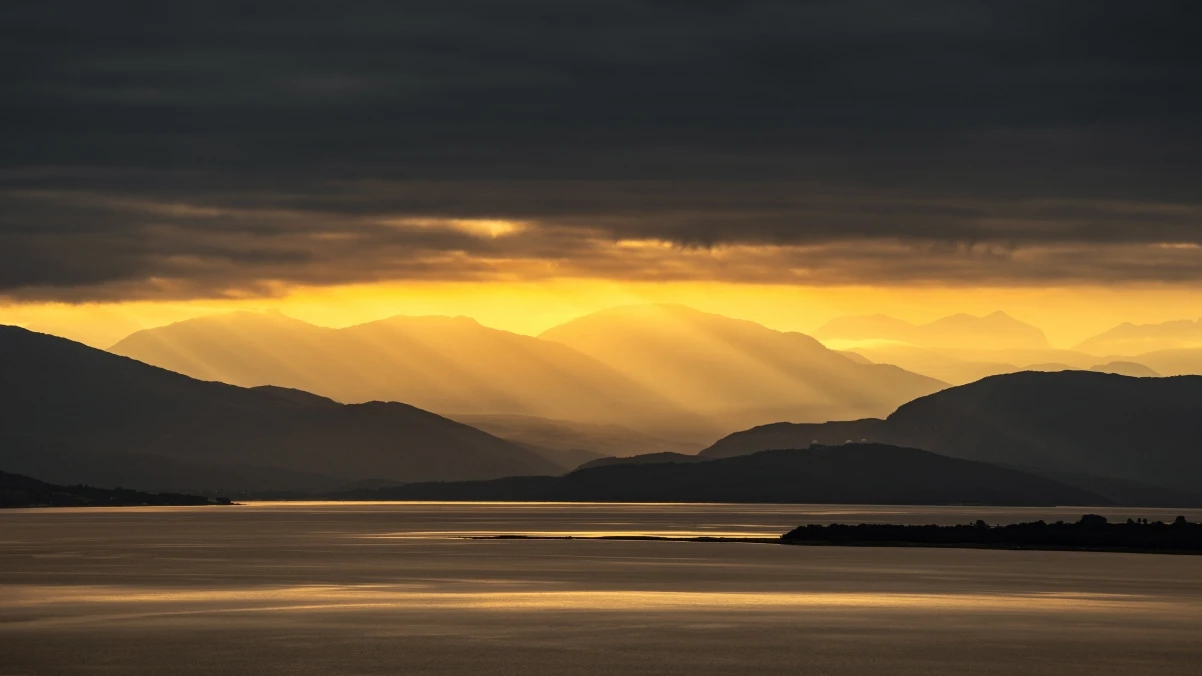 悟空AI音效:免费在线AI音效生成器,轻松创作高品质动态音效!