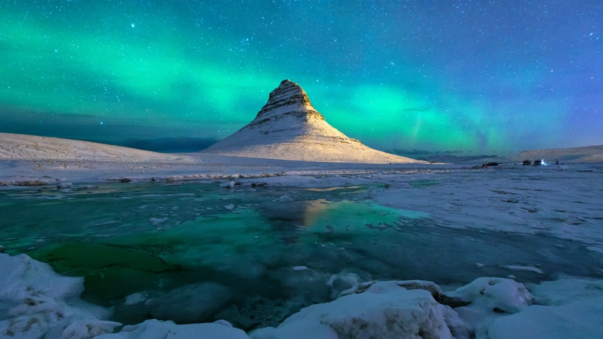 Bongo Cat:敲击鼓点的可爱猫咪,点燃你的音乐互动乐趣