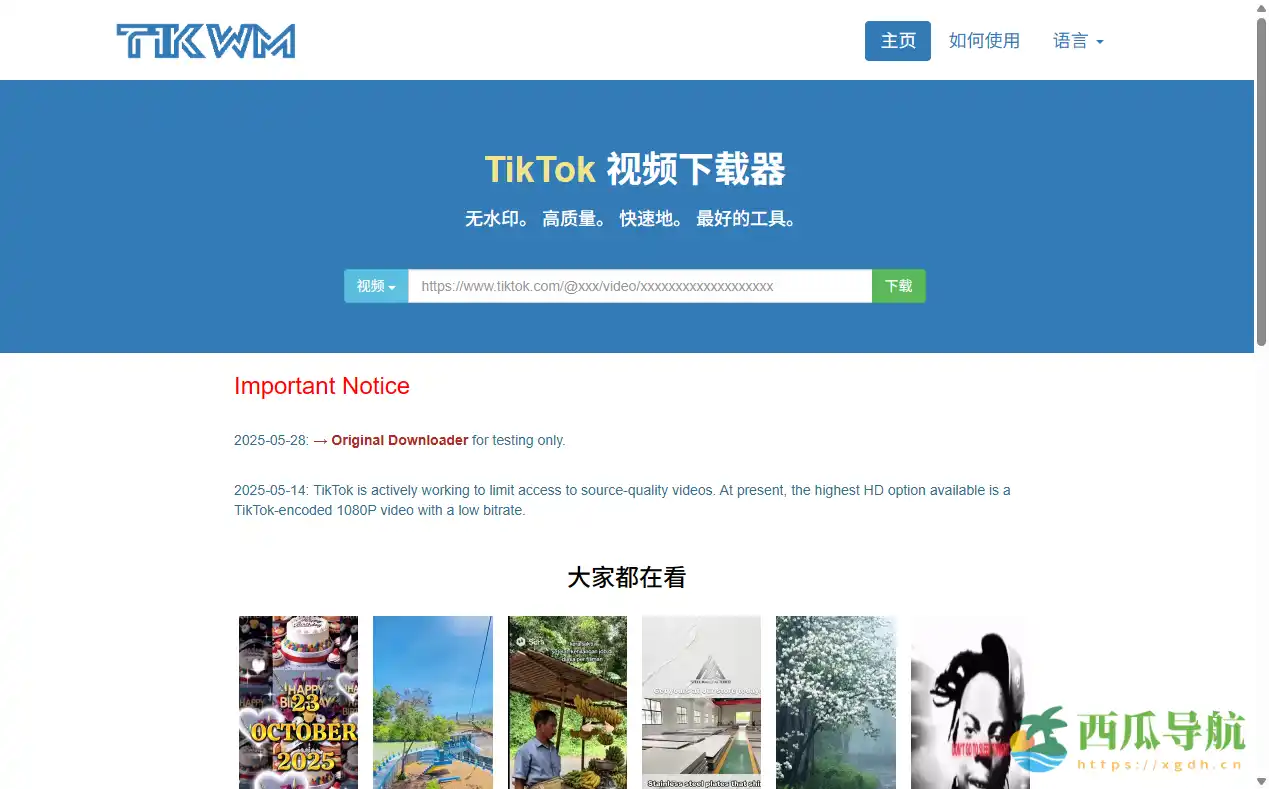 免费无水印下载TikTok视频:TikWM在线下载器