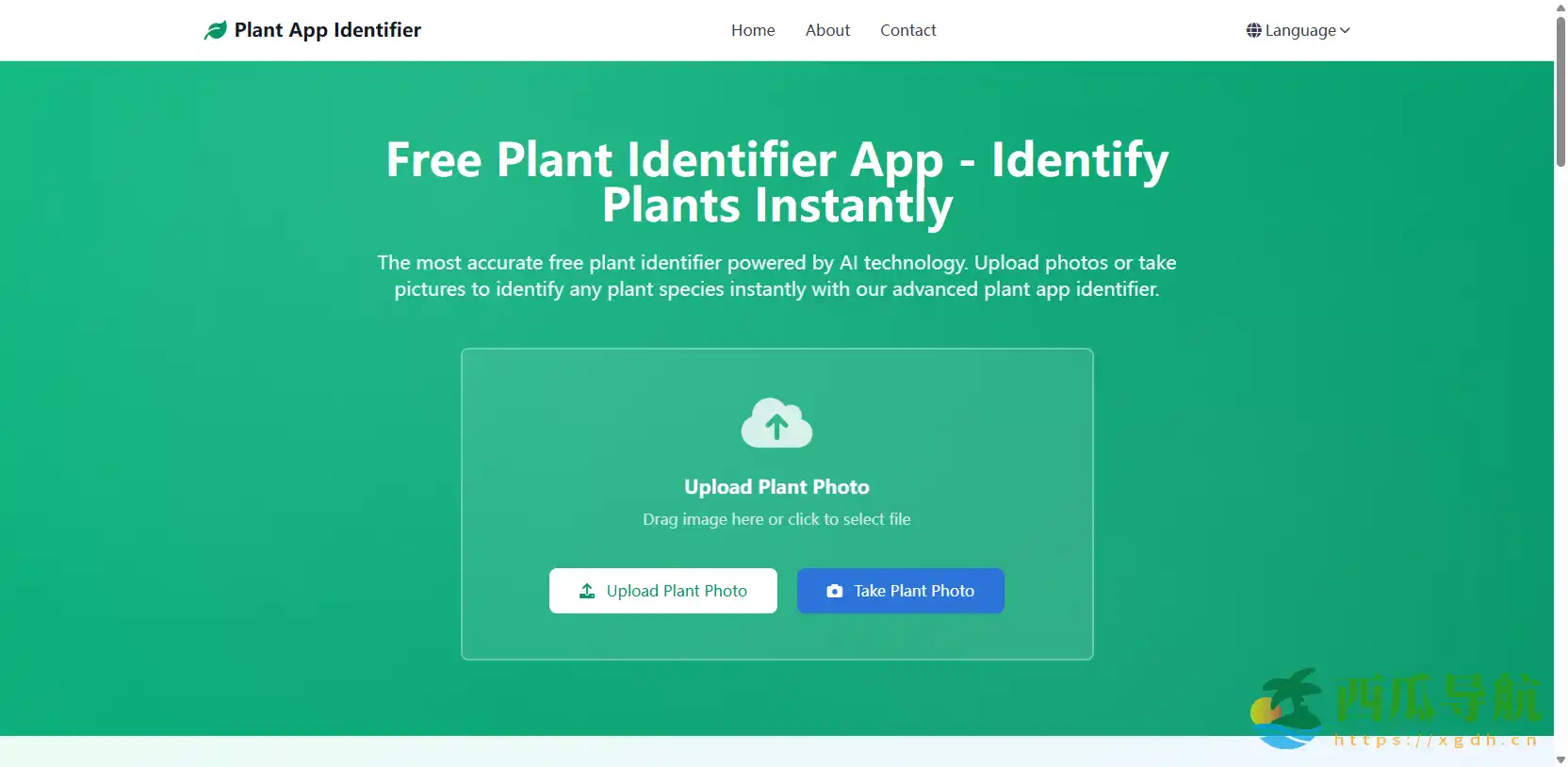 免费 AI 植物识别工具:Plant App Identifier 秒级获取植物信息