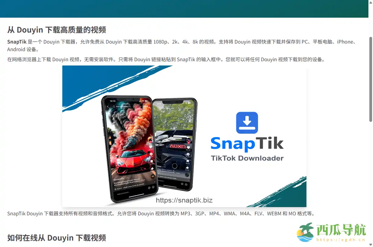 免费在线视频下载工具：SnapTik