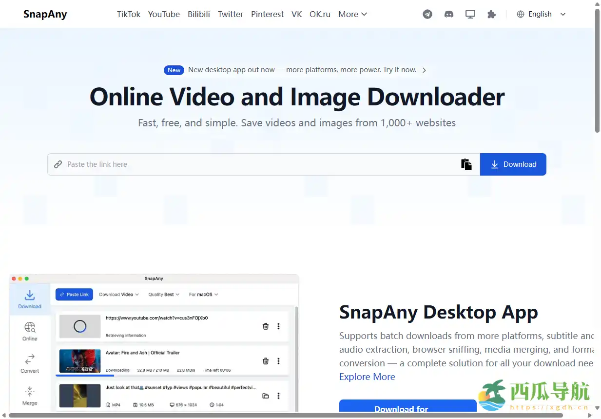 万能视频图片去水印解析下载工具：SnapAny