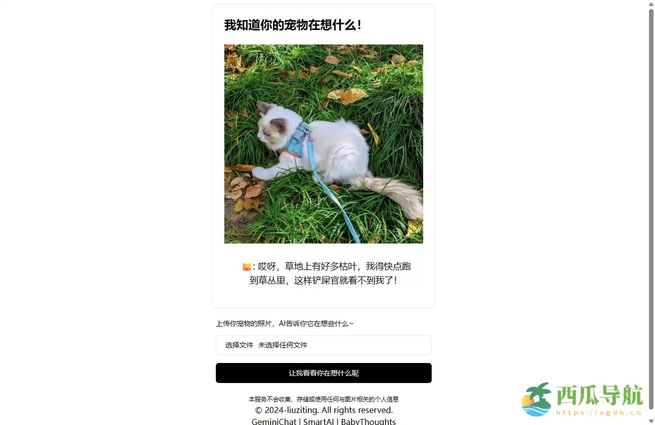 AI宠物表情分析与情绪推测工具：我知道你的宠物在想什么