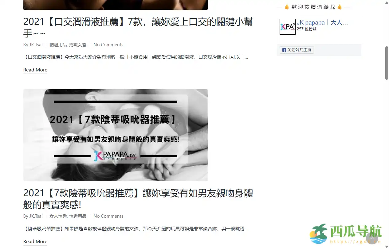 大人玩具学习技巧分享与资源整合平台：KPTW学习网站