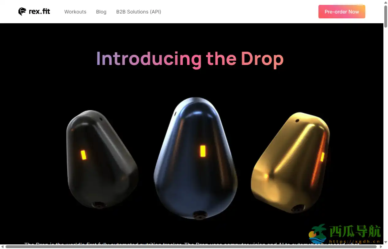 免费 AI 健身助手在线平台：Rex fit 智能训练体验指南