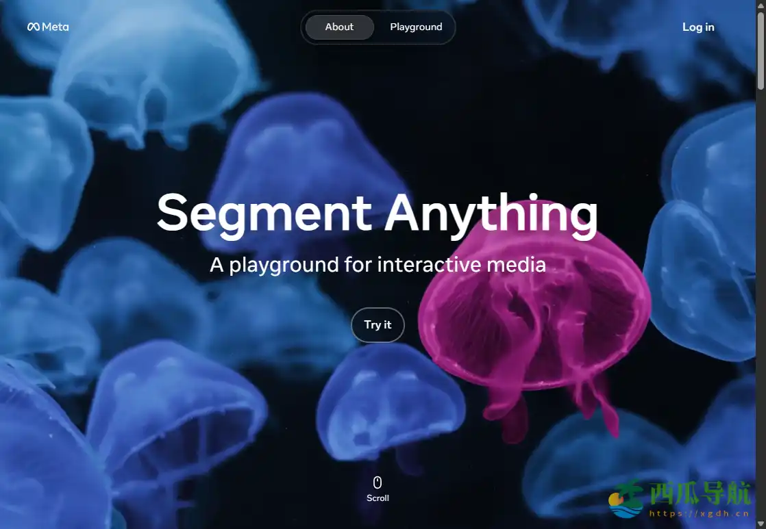 万物图像分割与抠图工具：Segment Anything