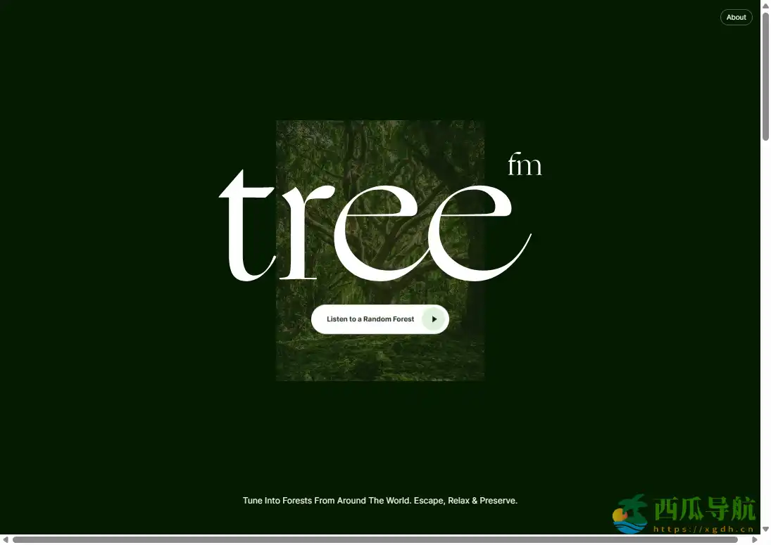 随机聆听全球森林环境音的自然放松网站：TreeFM