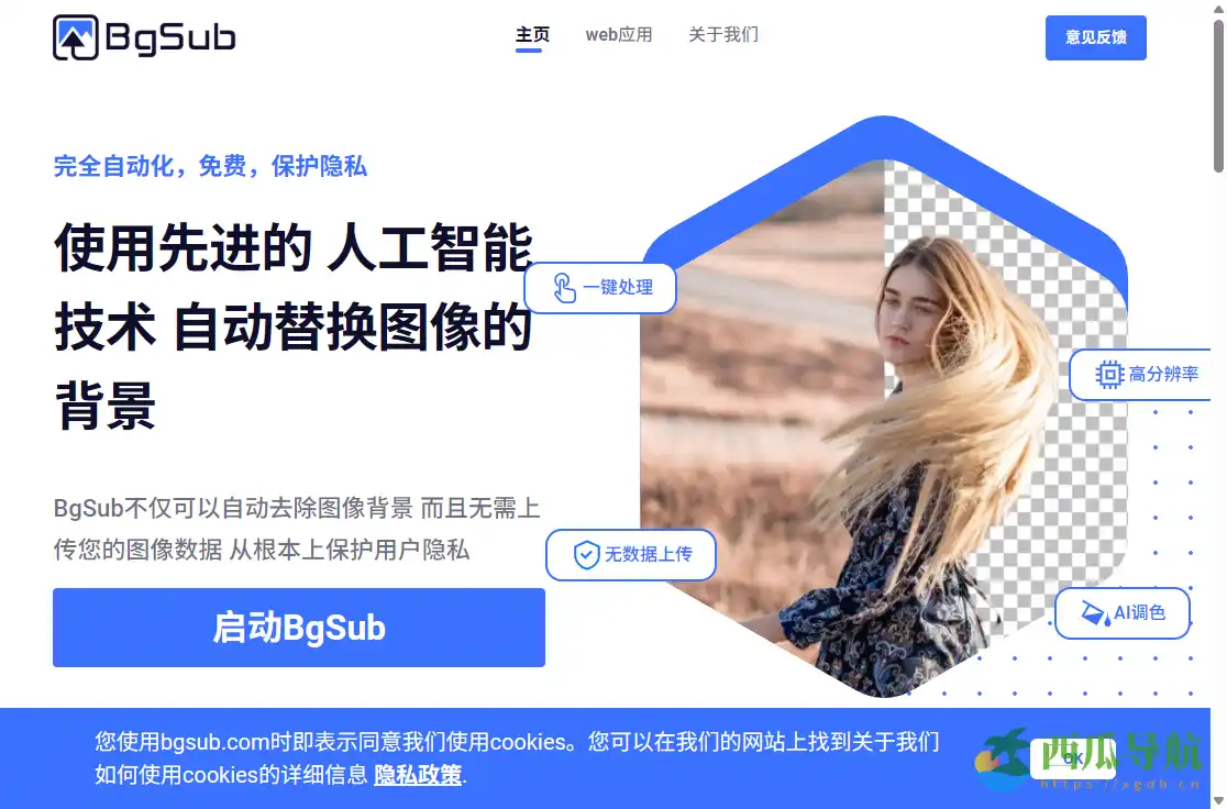 AI智能抠图一键去背景工具：BgSub