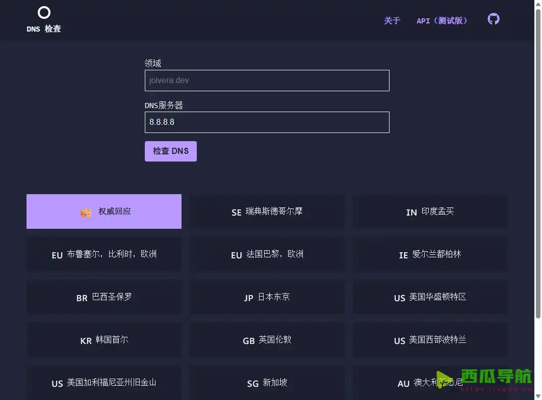 全球节点DNS查询工具：DNS Check