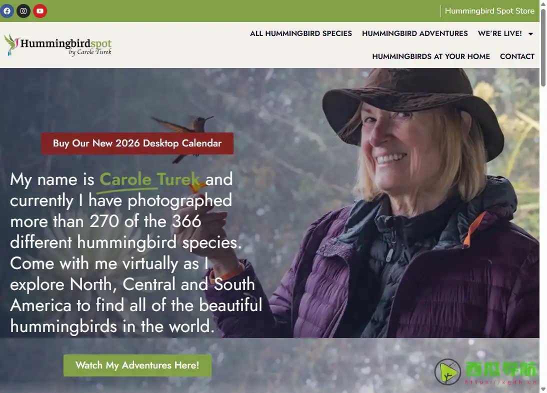 全球蜂鸟影像记录与直播平台：Hummingbirdspot 蜂鸟全景