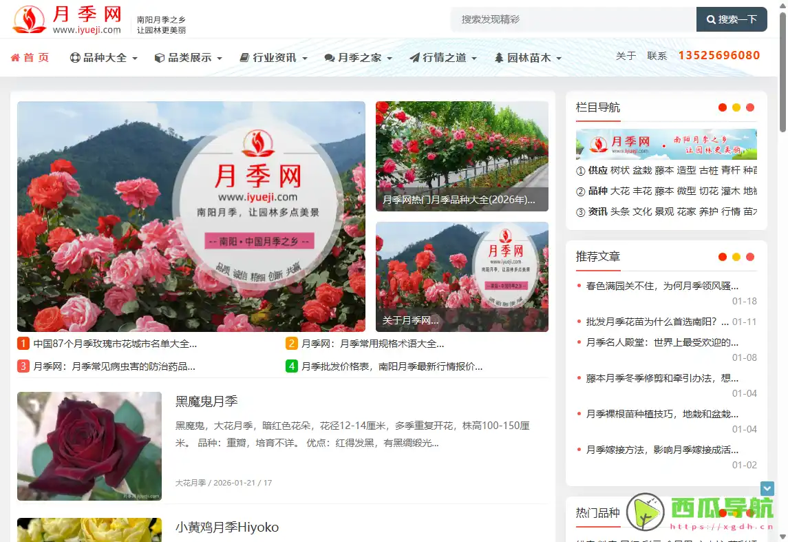 优质月季花苗批发与品种展示平台：月季网园艺基地