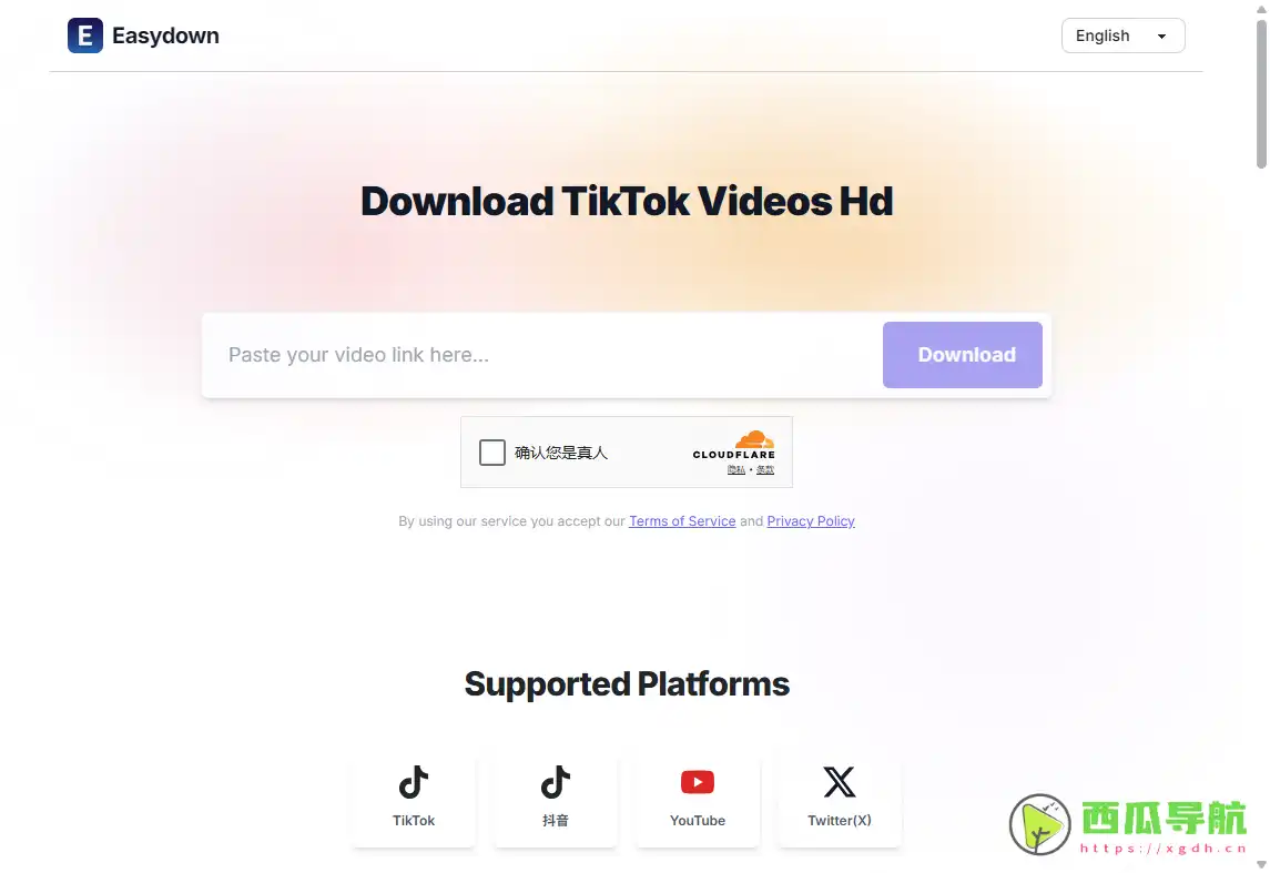 极速在线视频下载工具：Easydown全能视频下载器
