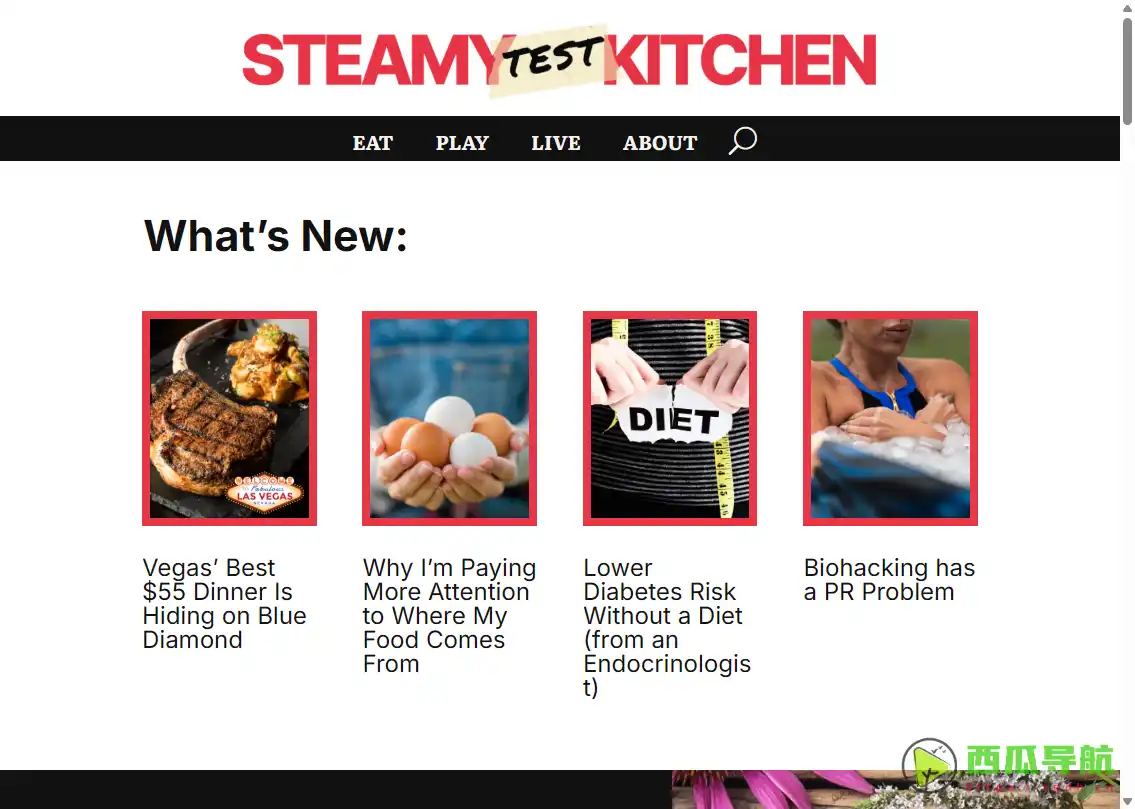 全面美食与健康食谱分享平台：Steamy Kitchen