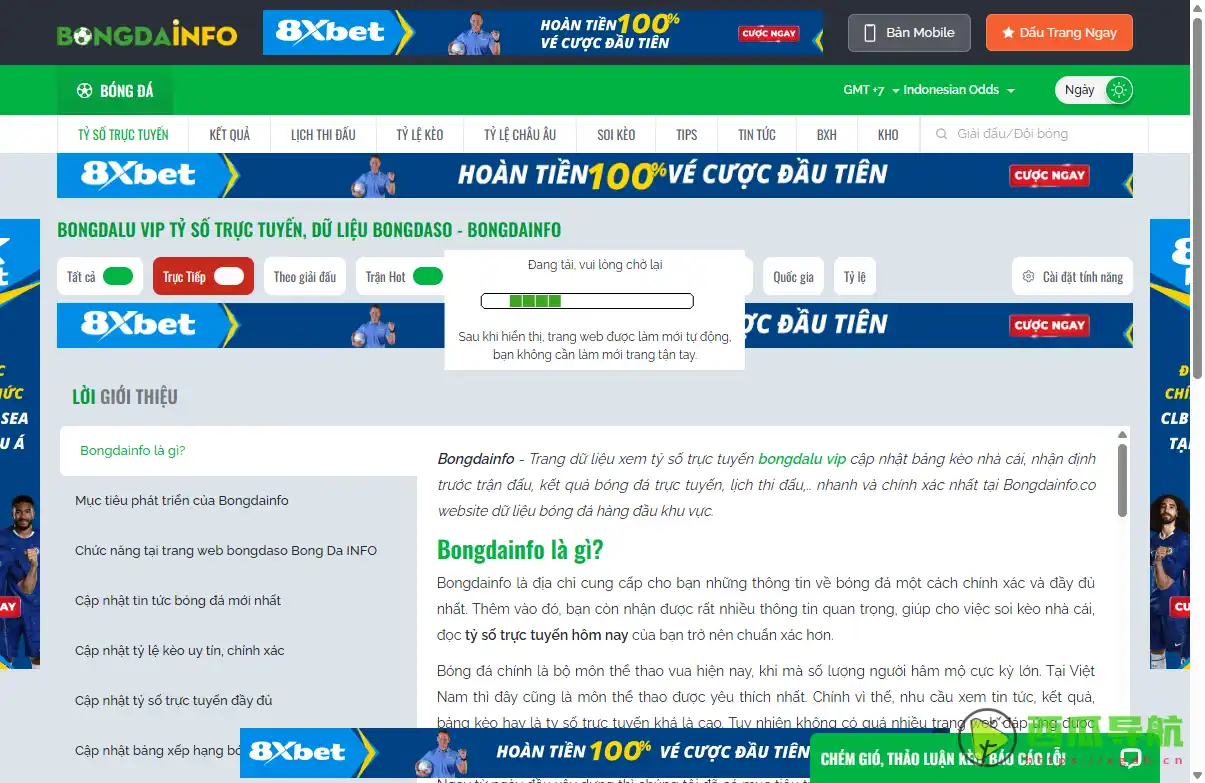 高清体育赛事直播与资讯平台：Bongdainfox 极致观赛体验