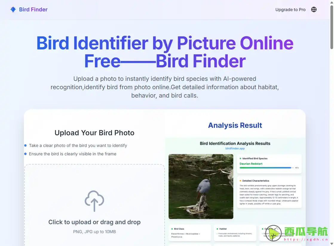 AI 智能鸟类识别工具：识鸟让观鸟更简单、有趣