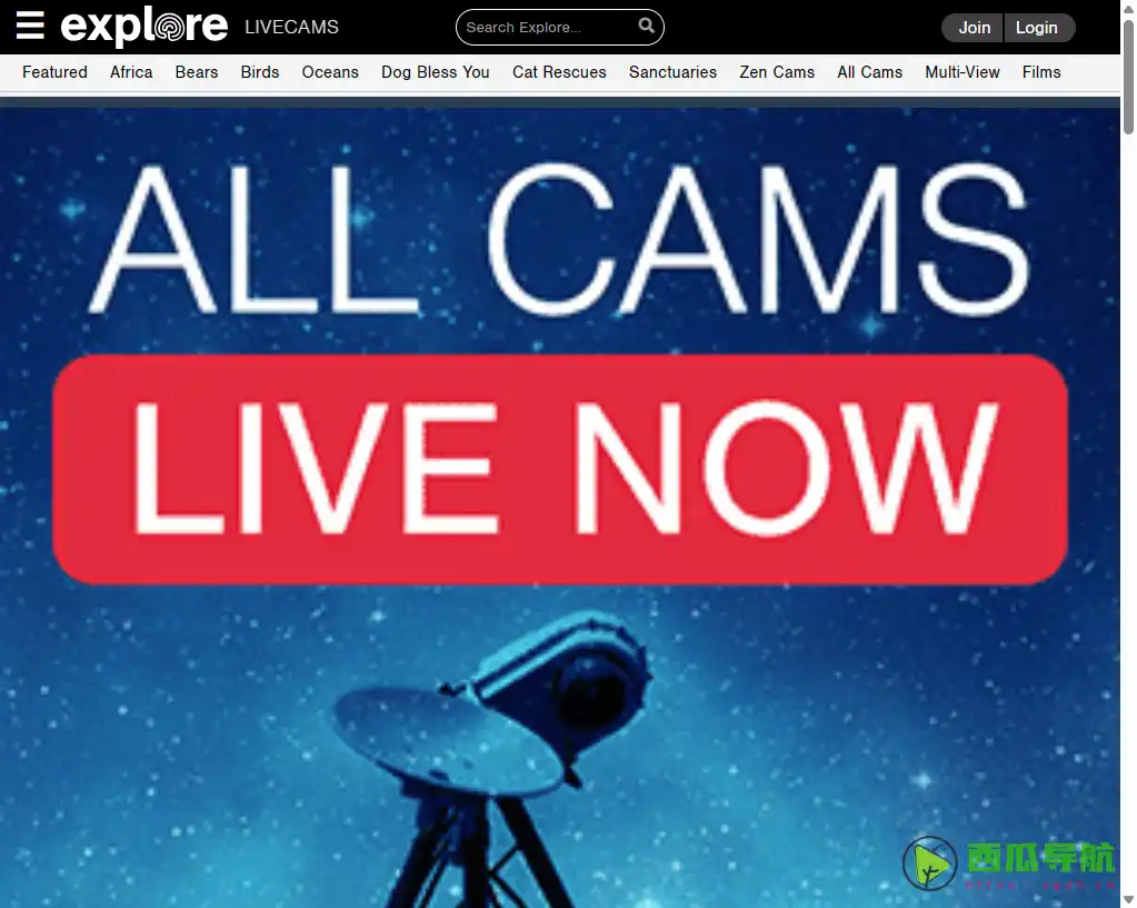 Explore.org：免费观看全球野生动物高清直播平台