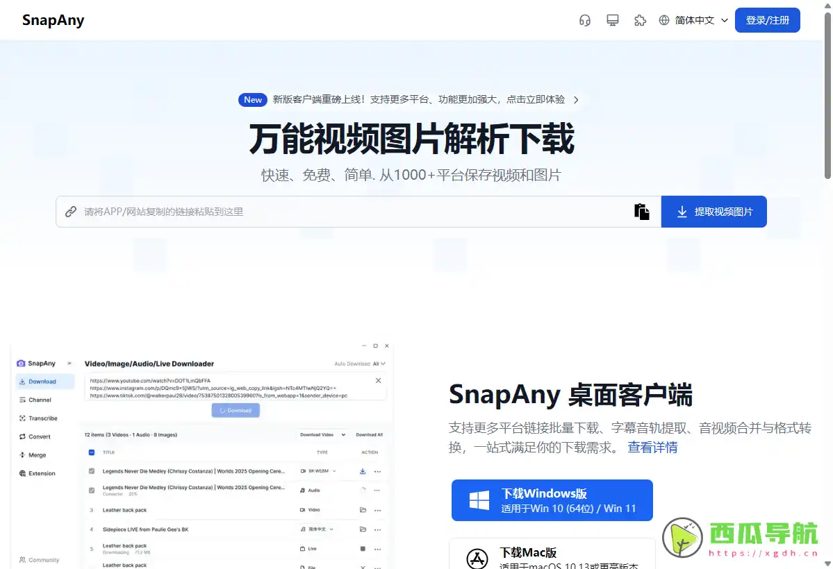 SnapAny：多平台视频图片解析与一键下载工具