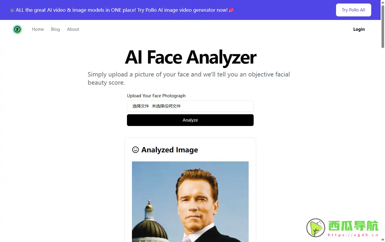 AI Face Analyzer：一个创新的面部美学评估工具